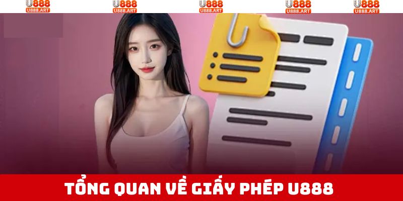 Tổng quan sơ lược về giấy phép hoạt động nổi bật